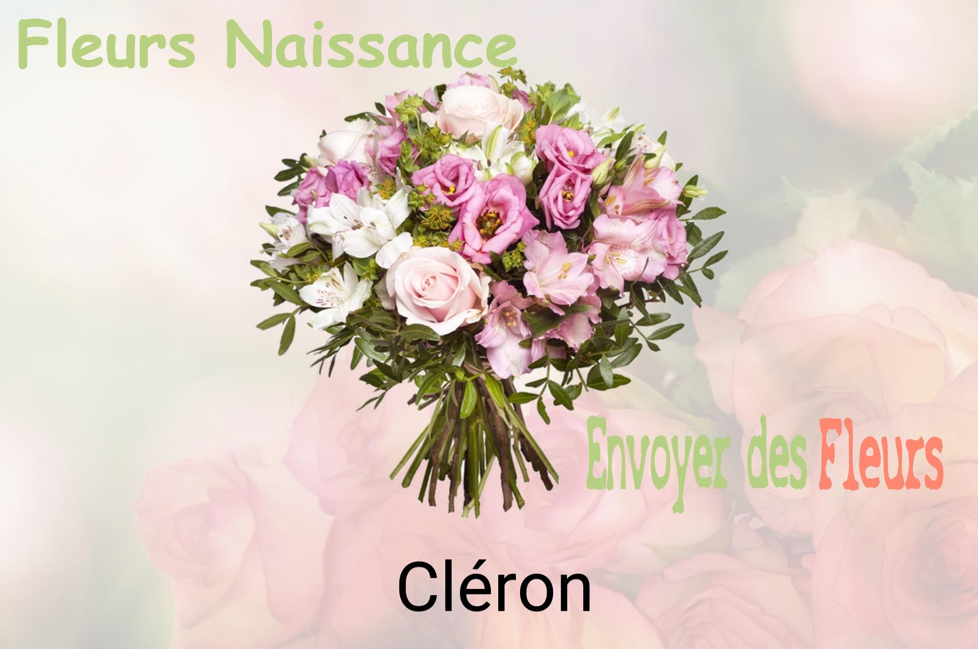 Bouquet de fleurs de naissance livré à Cléron