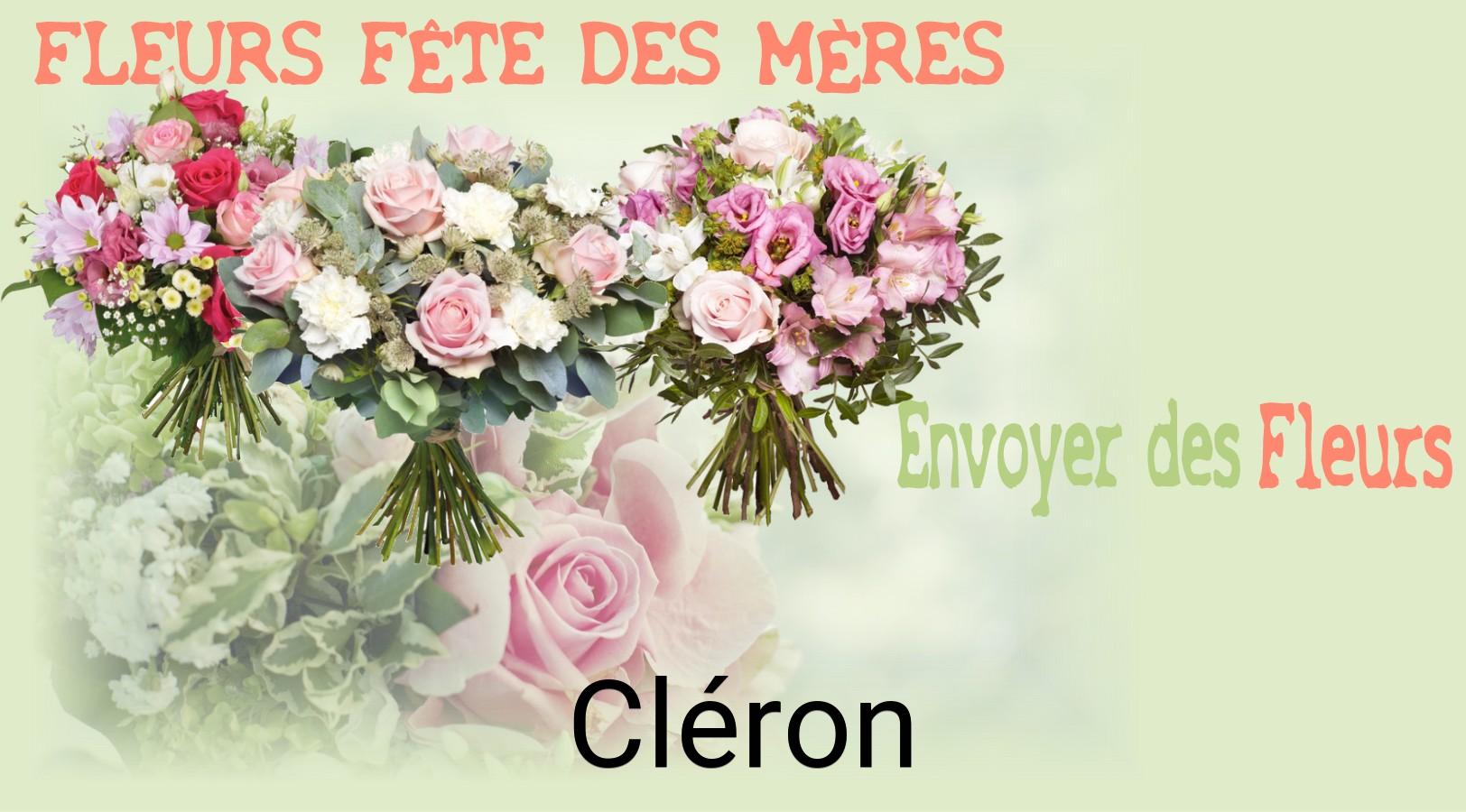 Bouquet de Fête des Mères livré à Cléron